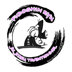 logo_fessy