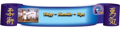 logo_veigy